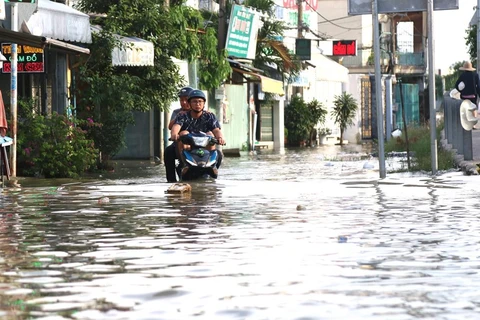 Triều cường gây ngập sâu tại khu vực cầu Phú Xuân, tiếp giáp huyện Nhà Bè và quận 7, TP.HCM. (Ảnh: Trần Xuân Tình/TTXVN)