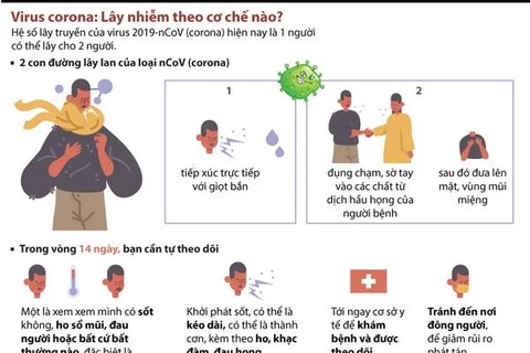 [Infographics] Virus 2019-nCoV lây nhiễm theo cơ chế nào?
