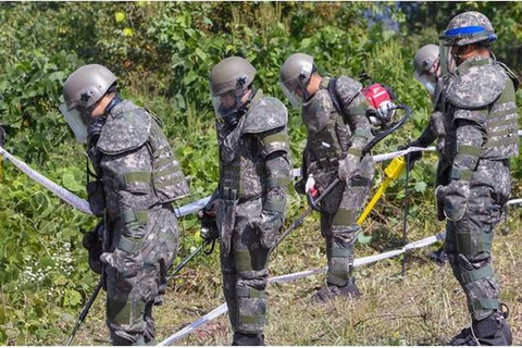 Các binh sỹ Hàn Quốc dò mìn trong Khu phi quân sự. (Nguồn: Reuters)