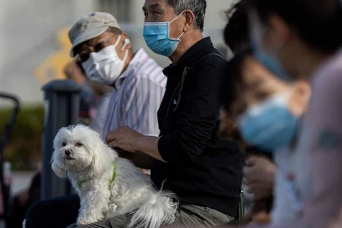 Nhân viên y tế kiểm tra thân nhiệt của bệnh nhân bị nghi nhiễm dịch COVID-19 tại bệnh viện ở Hong Kong, Trung Quốc ngày 4/2 vừa qua. (Ảnh: AFP/TTXVN)