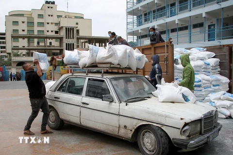 Công nhân chuyển lương thực cứu trợ cho người tị nạn Palestine tại trại tị nạn ở Gaza, ngày 31/3 vừa qua. (Ảnh: THX/TTXVN)