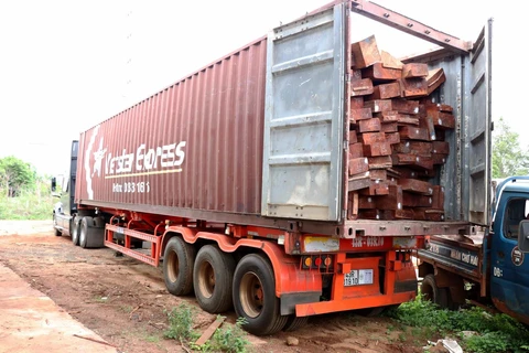 Một khối lượng lớn gỗ căm xe được chất lên xe container. (Ảnh: Quang Thái/TTXVN)