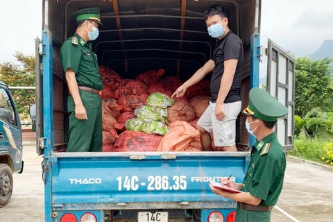 Xe tải do Nình Văn Cạy điều khiển chở 1,5 tấn chân gà đã qua chế biến có nguồn gốc từ Trung Quốc. (Nguồn: baoquangninh)