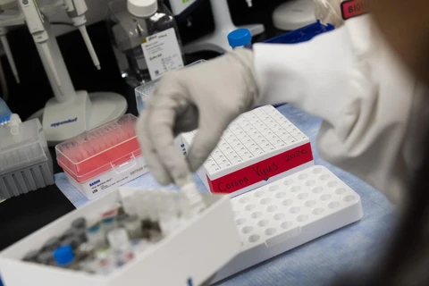 Nghiên cứu mẫu bệnh phẩm để bào chế vắcxin phòng COVID-19 tại phòng thí nghiệm ở Mỹ. (Ảnh: AFP/TTXVN)