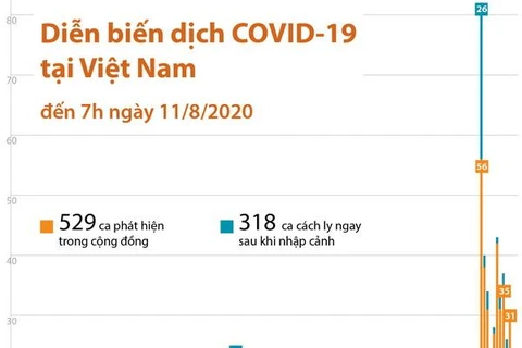 [Infographics] Diễn biến dịch COVID-19 tại Việt Nam đến sáng 11/8