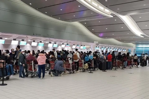Công dân Việt Nam tại Canada đang xếp hàng tại sân bay để làm thủ tục lên máy bay. (Ảnh: Vũ Quang Thịnh/TTXVN)