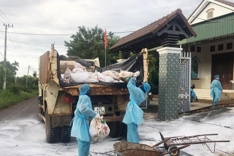 Lực lượng chức năng vận chuyển gia cầm bị bệnh tại xã Ea Kao, thành phố Buôn Ma Thuột, đi tiêu hủy. (Ảnh: Tuấn Anh/TTXVN)