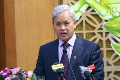 Nguyên Tổng cục trưởng Tổng cục Thống kê Nguyễn Bích Lâm. (Ảnh: Danh Lam/TTXVN)