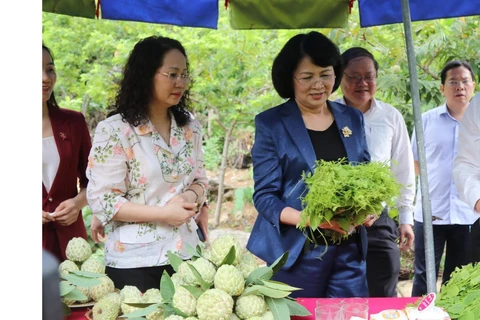 Phó Chủ tịch nước Đặng Thị Ngọc Thịnh tham quan sản phẩm nông nghiệp của huyện Chi Lăng, Lạng Sơn. (Ảnh: Quang Duy/TTXVN)