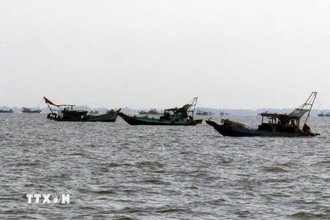 Phương tiện khai thác đánh bắt công suất nhỏ trên vùng biển thành phố Rạch Giá, tỉnh Kiên Giang. (Ảnh: Lê Huy Hải/TTXVN)