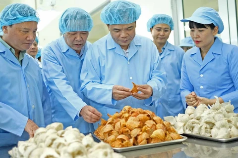 Bộ trưởng Nguyễn Xuân Cường và đoàn công tác đến thăm nhà máy chế biến yến sào đặc sản của tỉnh Khánh Hòa. (Ảnh: Nguyễn Dũng/TTXVN)