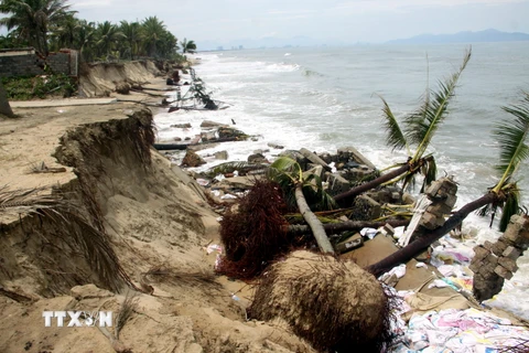 Quảng Nam: Bãi tắm Cửa Đại sạt lở nghiêm trọng do bão số 5 