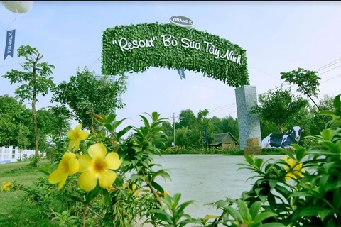 Không chỉ gây ấn tượng với quy mô lớn và sự hiện đại, trang trại của Vinamilk tại Tây Ninh còn được biết đến với không gian xanh mát, lý tưởng như “resort.” (Nguồn: Vinamilk)