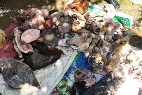 Số thịt, xương các loại động vật rừng thu giữ tại nhà ông Nguyễn Văn Thành. (Nguồn: baolamdong.vn)