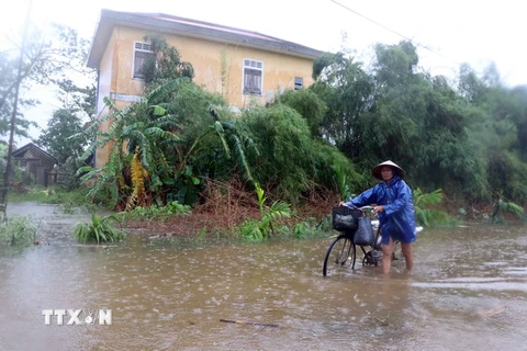Nhiều tuyến đường trên địa bàn xã Hương Toàn, thị xã Hương Trà bị ngập trong nước. (Ảnh: Đỗ Trưởng/TTXVN)
