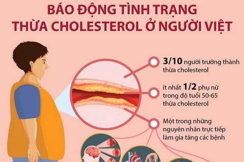 [Infographics] Báo động tình trạng thừa cholesterol ở người Việt