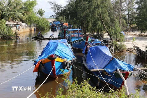 Tàu thuyền ngư dân xã Gio Việt đã vào neo đậu tránh trú an toàn tại các luồng lạch. (Ảnh: Hồ Cầu/TTXVN)