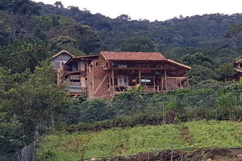Các ngôi nhà gỗ vẫn đang được xây dựng trái phép trên đất rừng. (Ảnh: Nguyễn Dũng- Quốc Hùng/TTXVN)