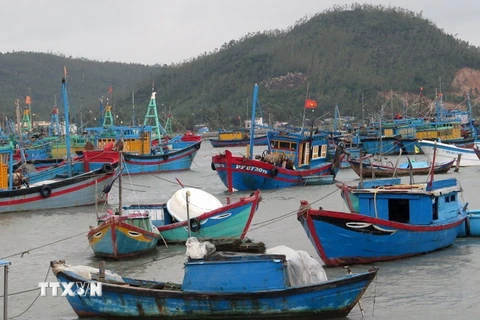 Tàu thuyền của người dân thị xã Sông Cầu, tỉnh Phú Yên đã vào nơi tránh trú an toàn. (Ảnh: Xuân Triệu/TTXVN)