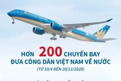 [Infographics] Hơn 200 chuyến bay đưa công dân Việt Nam về nước 