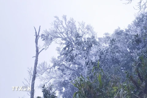 Hình ảnh băng tuyết xuất hiện, phủ kín đỉnh Khoan La San-A Pa Chải