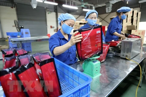 Càphê là một trong những mặt hàng xuất khẩu của Việt Nam sang Israel tăng mạnh trong năm 2020. (Ảnh: Danh Lam/TTXVN)