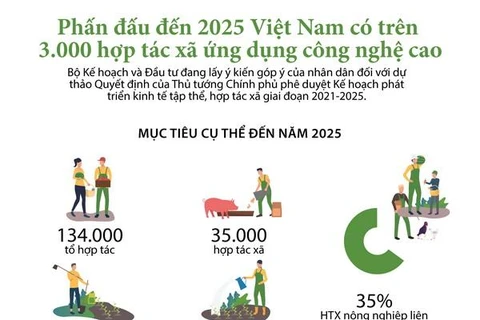 Phấn đấu đến 2025, Việt Nam có hơn 3.000 HTX ứng dụng công nghệ cao