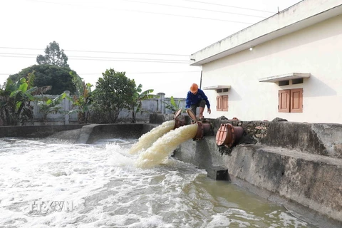 Công nhân Xí nghiệp khai thác công trình Thủy lợi Bình Giang vận hành thiết bị phục vụ lấy nước đổ ải tại Trạm bơm Tân Hồng, xã Tân Hồng, huyện Bình Giang. (Ảnh: Vũ Sinh/TTXVN)