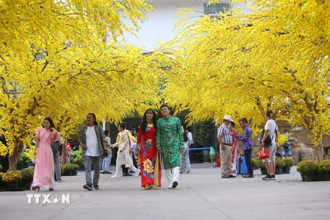 [Photo] TPHCM: Rộn ràng sắc Xuân tại Lễ hội Tết Việt Tân Sửu