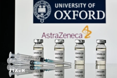 Vắcxin ngừa COVID-19 do AstraZeneca PLC phối hợp với Đại học Oxford của Anh phát triển. (Ảnh: AFP/TTXVN phát)