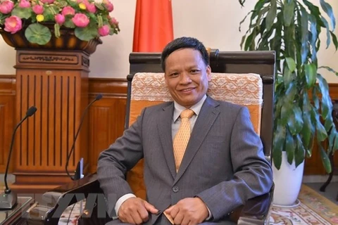 Đại sứ Nguyễn Hồng Thao. (Ảnh: TTXVN phát)