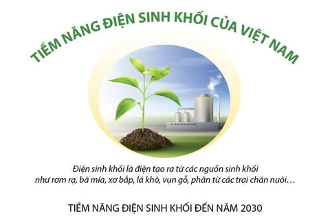 [Infographics] Tiềm năng nguồn điện sinh khối của Việt Nam