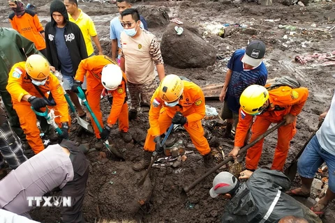 Lực lượng cứu hộ tìm kiếm nạn nhân tại hiện trường vụ sạt lở đất do mưa lớn ở Đông Flores, Indonesia ngày 5/4. (Ảnh: AFP/TTXVN)