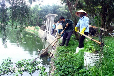 Công nhân Công viên Trung tâm thành phố Vinh tiến hành vớt xác cá và rác thải để hạn chế mùi hôi thối tại hồ điều hòa Công viên Trung tâm thành phố Vinh. (Ảnh: Tá Chuyên/TTXVN)