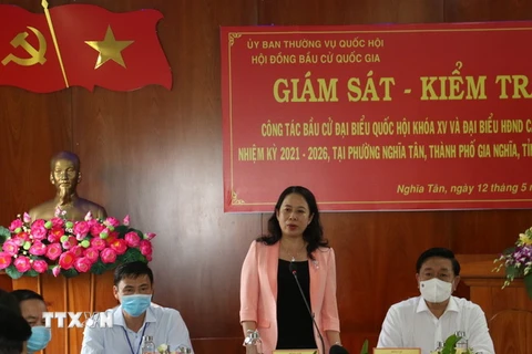 Phó Chủ tịch nước Võ Thị Ánh Xuân phát biểu tại buổi làm việc. (Ảnh: Ngọc Minh/TTXVN)