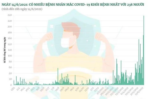 238 ca mắc COVID-19 được công bố khỏi bệnh trong ngày 14/6