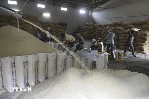 Công nhân làm việc tại nhà máy xay xát gạo ở Hyderabad của Ấn Độ. (Ảnh: AFP/TTXVN)