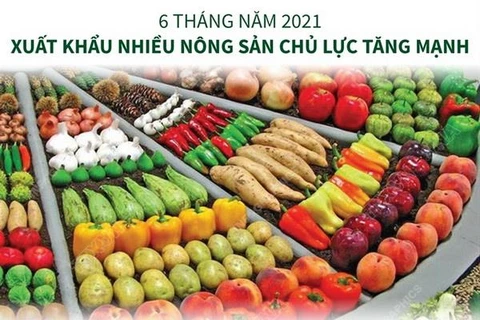 Sáu tháng đầu năm: Xuất khẩu nhiều nông sản chủ lực tăng mạnh