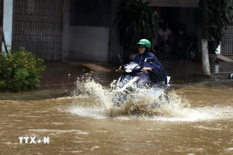 Ngập cục bộ trên đường Nhạc Sơn, thành phố Lào Cai, khiến các phương tiện tham gia giao thông gặp nhiều khó khăn. (Ảnh: Quốc Khánh/TTXVN)