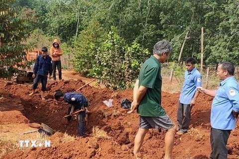 Các chiến sỹ Đội K72 đào tìm hài cốt liệt sỹ tại ấp Măng Cải, xã Lộc Thiện, huyện Lộc Ninh, tỉnh Bình Phước. (Ảnh: TTXVN phát)