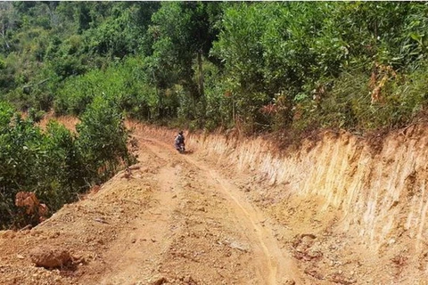 Tuyến đường có chiều dài gần 600m, rộng 3m được các đối tượng sử dụng phương tiện cơ giới mở ra trong khu vực rừng phòng hộ Phú Ninh, tỉnh Quảng Nam. (Nguồn: nongnghiep)