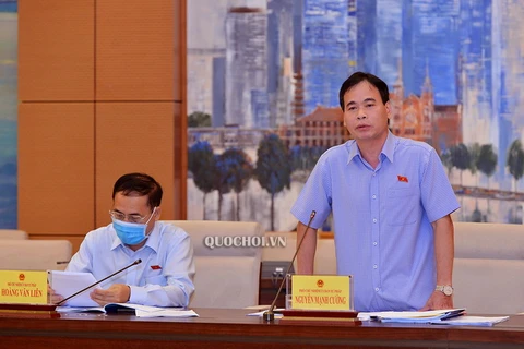 Phó Chủ nhiệm Ủy ban Tư pháp Nguyễn Mạnh Cường. (Nguồn: quochoi.vn)