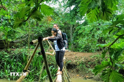 Khách du lịch trải nghiệm đi cầu khỉ tại Cồn Sơn-ảnh tư liệu. (Ảnh: Thanh Liêm/TTXVN)
