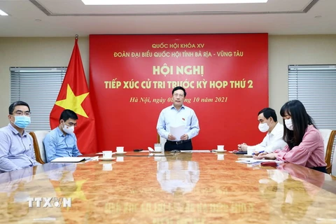 Phó Thủ tướng Thường trực Phạm Bình Minh, đại biểu Quốc hội tỉnh Bà Rịa-Vũng Tàu phát biểu tại điểm cầu Hà Nội. (Ảnh: Phạm Kiên/TTXVN)