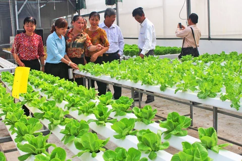 Sản xuất nông nghiệp ứng dụng công nghệ cao là chương trình đột phá mang lại nhiều hiệu quả của tỉnh Long An. (Nguồn: baolongan.vn)