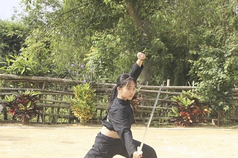 Độc đáo bài “Thanh long độc kiếm” của võ cổ truyền Bình Định. (Nguồn: baovanhoa.vn)