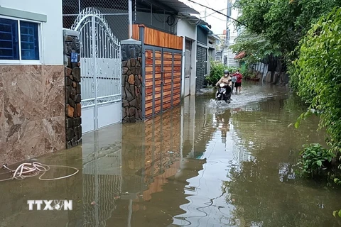Các khu phố thấp trũng của thành phố Nha Trang bị ngập cục bộ do mưa lớn không kịp thoát nước. (Ảnh: TTXVN phát)