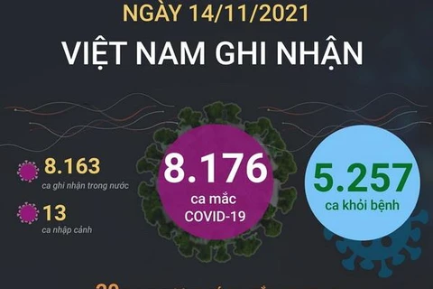 Việt Nam ghi nhận 8.176 ca mắc COVID-19 và có 5.257 ca khỏi bệnh