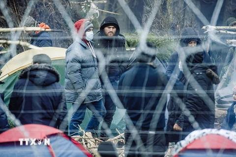 Người di cư tập trung tại Belarus, gần cửa khẩu ở Kuznica, phía Đông Ba Lan, ngày 11/11 vừa qua. (Ảnh: PAP/TTXVN)