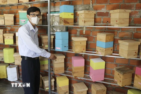 Anh Nguyễn Hữu Trực, phường Bảo An, thành phố Phan Rang-Tháp Chàm, tỉnh Ninh Thuận, kiểm tra các hộp nuôi ong dú. (Ảnh: Nguyễn Thành/TTXVN)